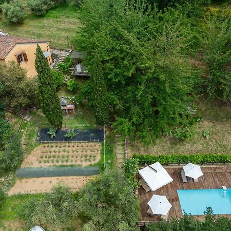 Вилла La Casa Sui Colli Uzzano Экстерьер фото