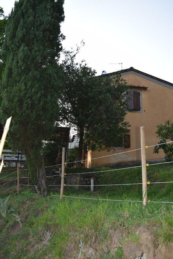 Вилла La Casa Sui Colli Uzzano Экстерьер фото