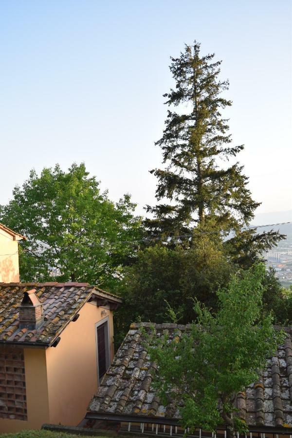 Вилла La Casa Sui Colli Uzzano Экстерьер фото